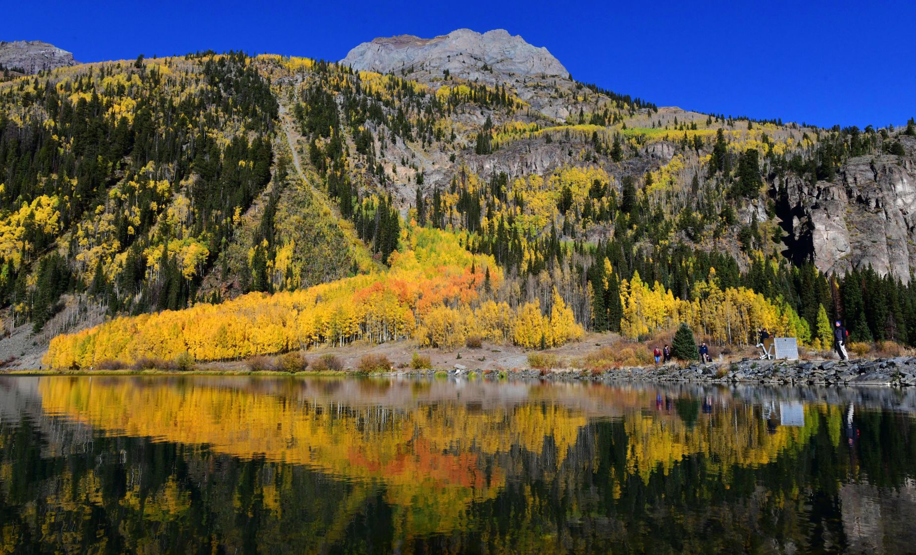 100619-news-aspens 03.JPG